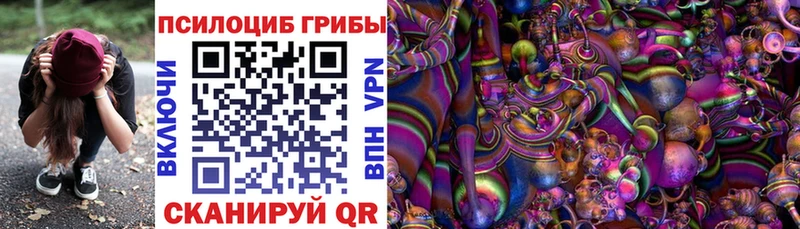 Галлюциногенные грибы ЛСД Гусиноозёрск