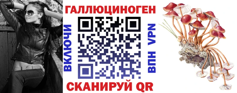 Купить  Гусиноозёрск  Галлюциногенные грибы мицелий 